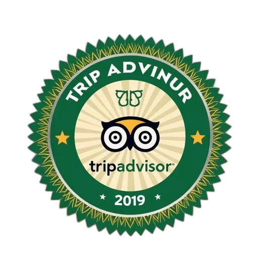 tripadvisor, certificate, excellence transparent PNG cut-out