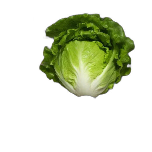 food, crown, face, animal transparent PNG cut-out