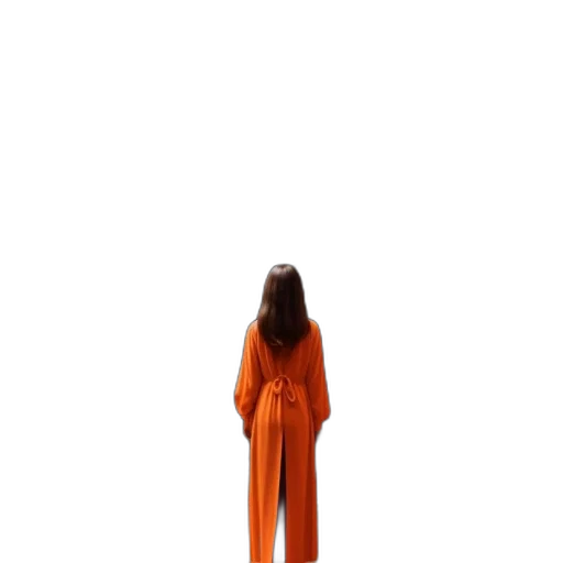 dress, jacket, hair, staff transparent PNG cut-out