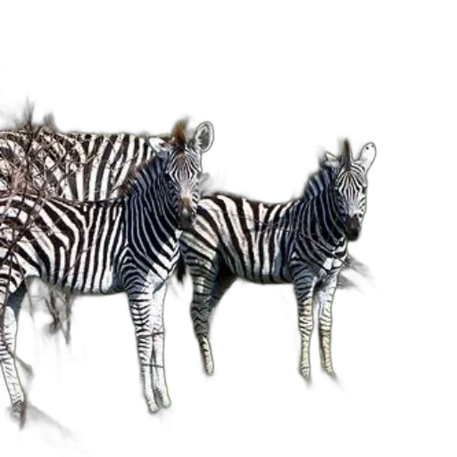 animal, jewelry, creature, 3d render transparent PNG cut-out