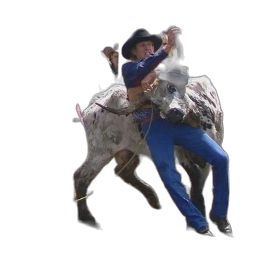 animal, hat, creature, concept art transparent PNG cut-out