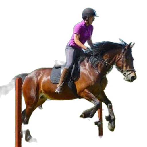 staff, photorealistic, 3d render, rider transparent PNG cut-out