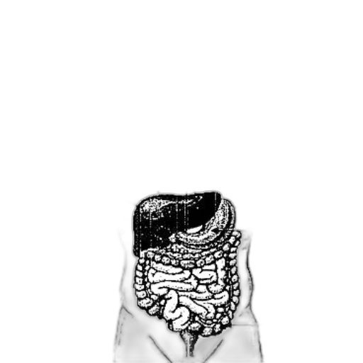 jacket, mask, hat, dress transparent PNG cut-out