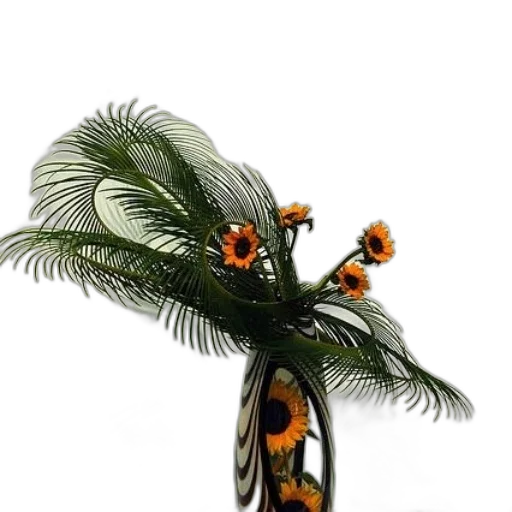 crown, flower, tree, jewelry transparent PNG cut-out