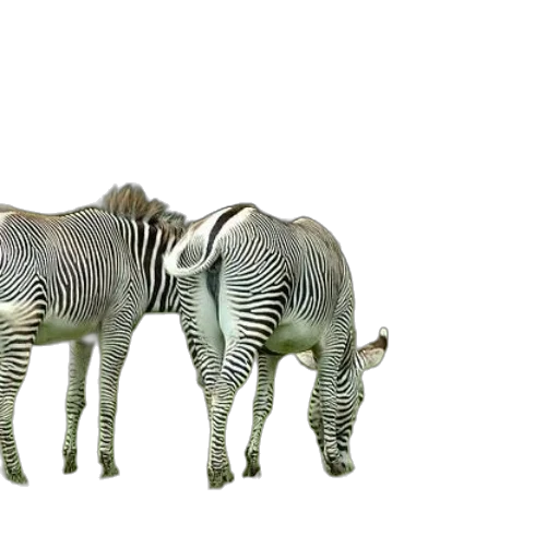 animal, creature, weapon, furniture transparent PNG cut-out