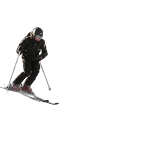 staff, robot, animal, weapon transparent PNG cut-out