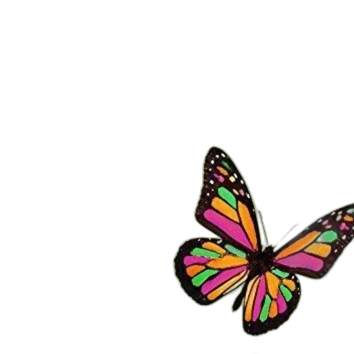 flower, umbrella, animal, crown transparent PNG cut-out
