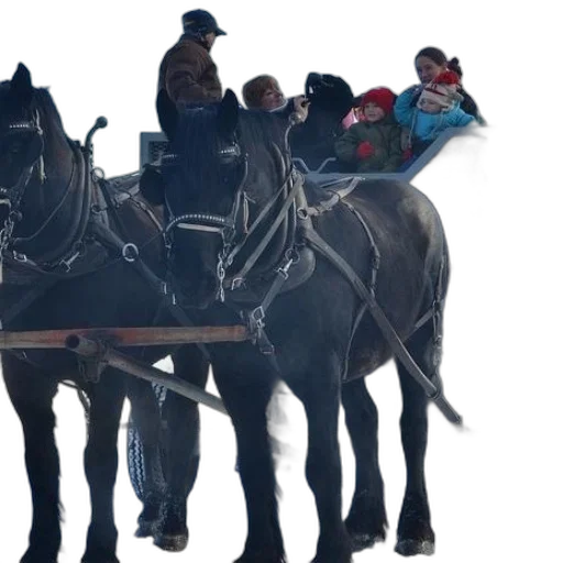 group, people, ride, horse-drawn transparent PNG cut-out
