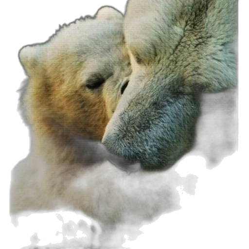 animal, mask, face, creature transparent PNG cut-out