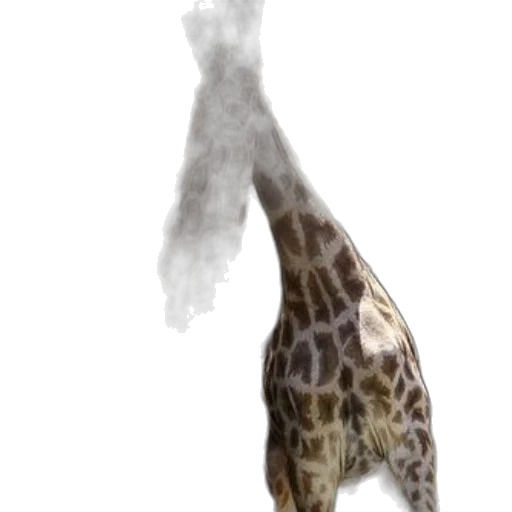 animal, creature, staff, weapon transparent PNG cut-out