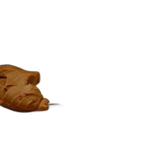 food, shoes, animal, hair transparent PNG cut-out