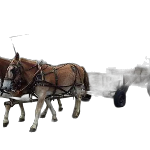 animal, weapon, car, staff transparent PNG cut-out