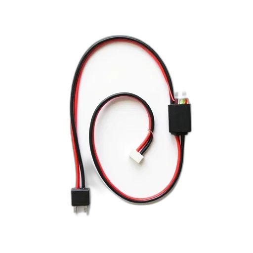 jewelry, staff, black, red transparent PNG cut-out