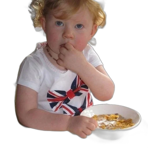 food, child, high, chair transparent PNG cut-out