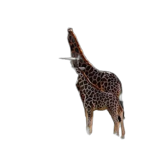 animal, staff, creature, crown transparent PNG cut-out