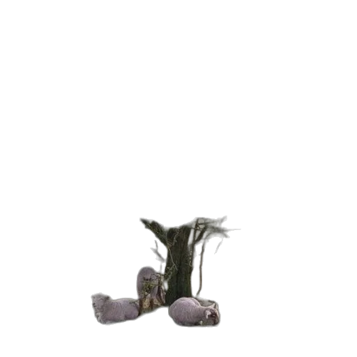 shoes, hair, staff, furniture transparent PNG cut-out