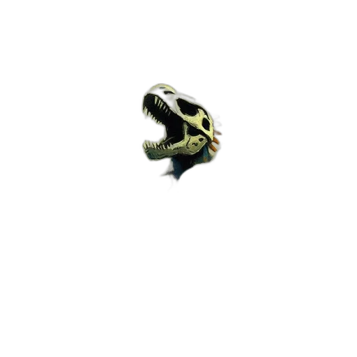 mask, shoes, animal, dragon transparent PNG cut-out
