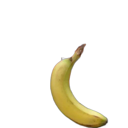 animal, food, weapon, creature transparent PNG cut-out