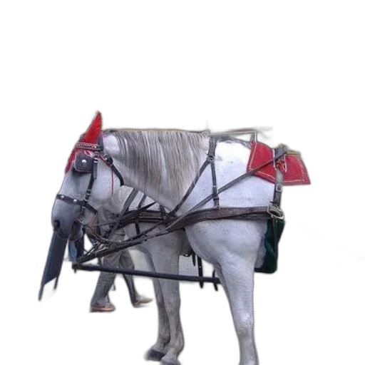 staff, robot, car, animal transparent PNG cut-out