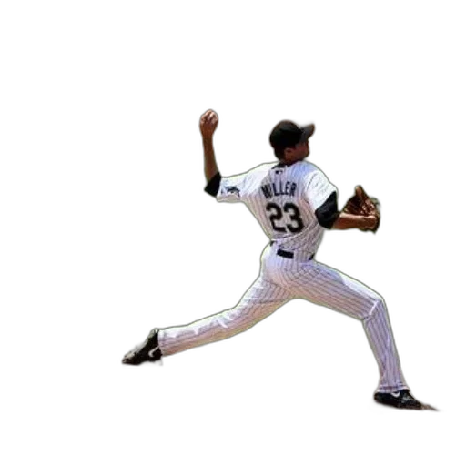 animal, photorealistic, baseball, player transparent PNG cut-out