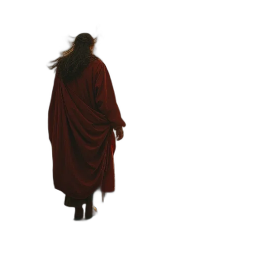 dress, jacket, staff, hair transparent PNG cut-out