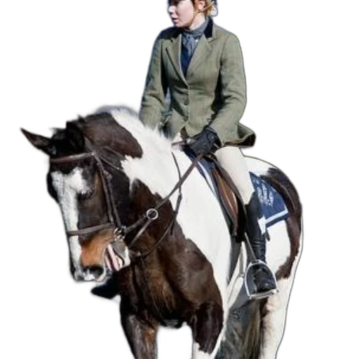 jacket, staff, animal, photorealistic transparent PNG cut-out