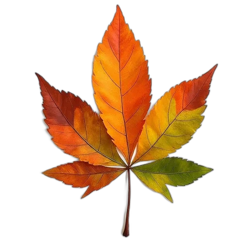 tree, crown, photorealistic, 3d render transparent PNG cut-out