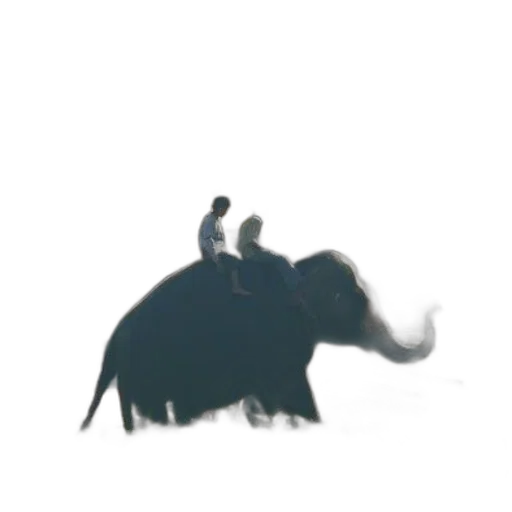 animal, creature, dragon, staff transparent PNG cut-out