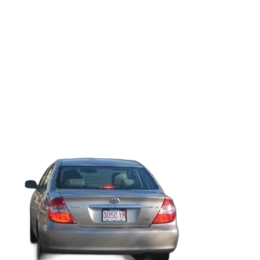 car, weapon, staff, animal transparent PNG cut-out