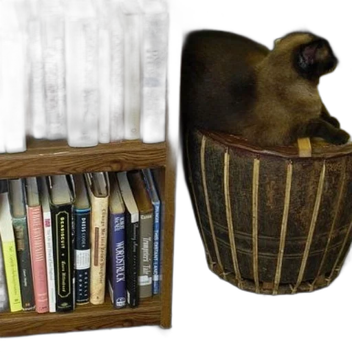 furniture, 3d render, cat, sits transparent PNG cut-out
