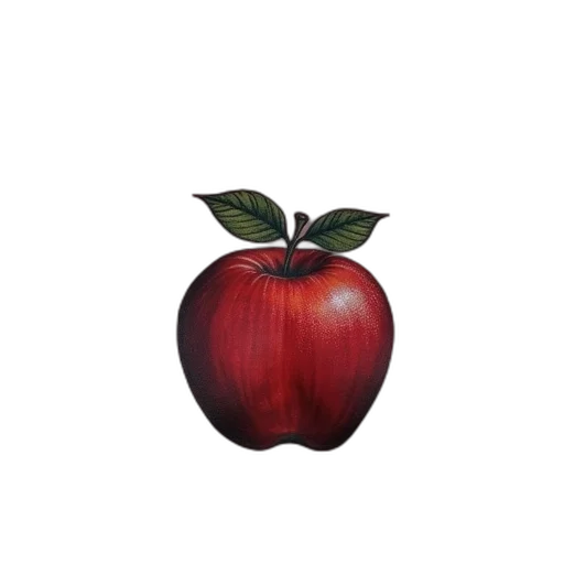 food, crown, animal, jewelry transparent PNG cut-out