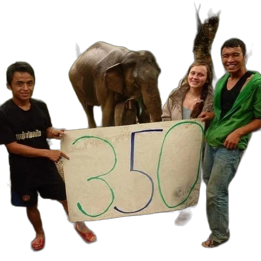 animal, group, people, hold transparent PNG cut-out