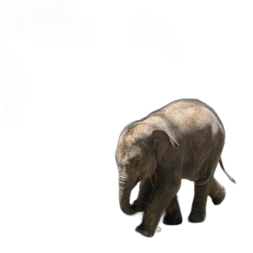 animal, creature, staff, weapon transparent PNG cut-out
