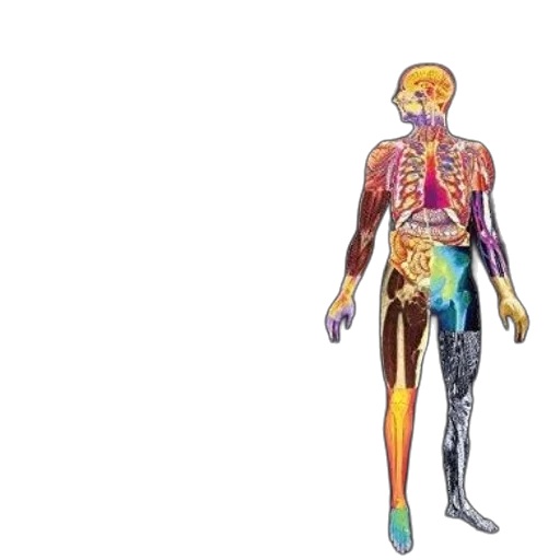 pathophysiology, disease, introduction, clinical transparent PNG cut-out