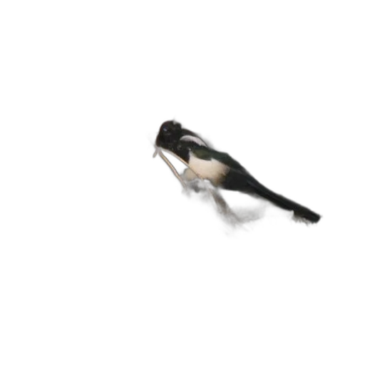 animal, creature, staff, weapon transparent PNG cut-out