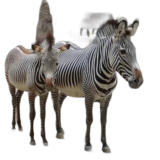 animal, creature, jewelry, furniture transparent PNG cut-out