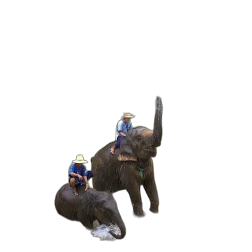 animal, staff, creature, hat transparent PNG cut-out