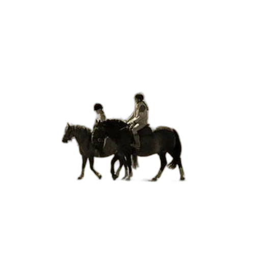 staff, animal, jacket, furniture transparent PNG cut-out