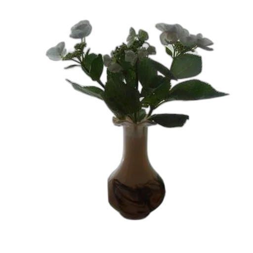 flower, crown, bottle, staff transparent PNG cut-out
