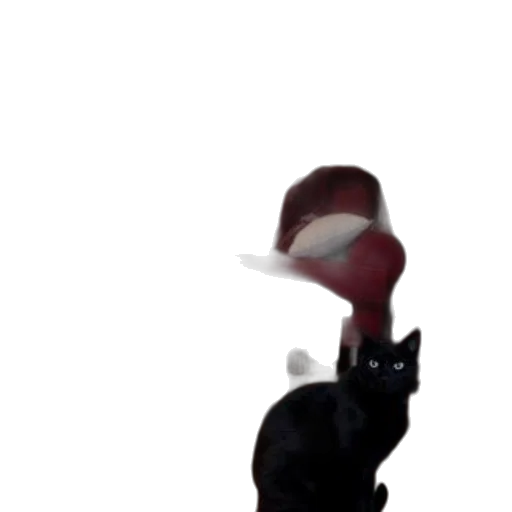 hat, staff, animal, creature transparent PNG cut-out