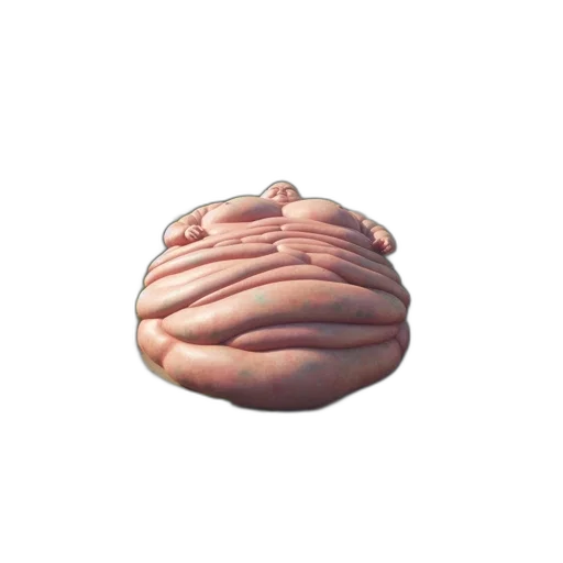 food, creature, hat, crown transparent PNG cut-out