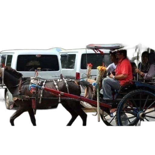 car, staff, animal, weapon transparent PNG cut-out