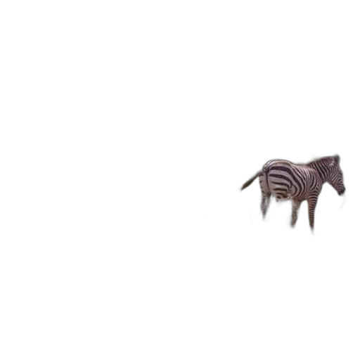 animal, creature, robot, furniture transparent PNG cut-out