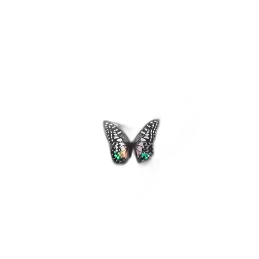 jewelry, crown, shoes, animal transparent PNG cut-out