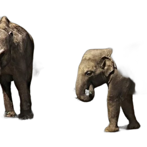 animal, creature, concept art, 3d render transparent PNG cut-out