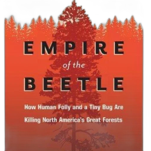 empire, beetle, book, cover transparent PNG cut-out