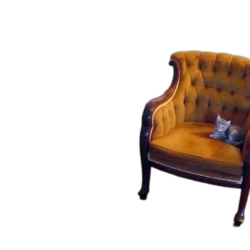 furniture, crown, dress, animal transparent PNG cut-out