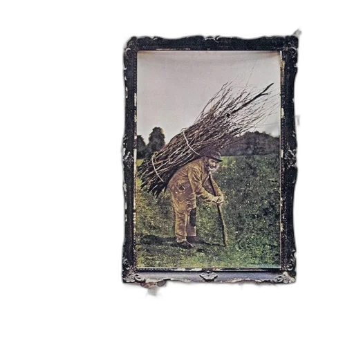jacket, tree, face, mask transparent PNG cut-out