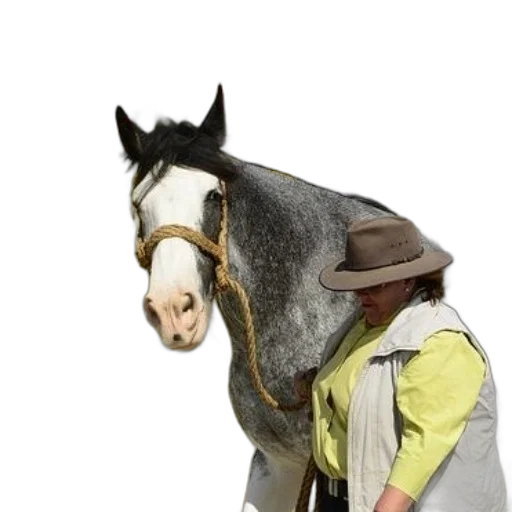 hat, staff, jacket, animal transparent PNG cut-out