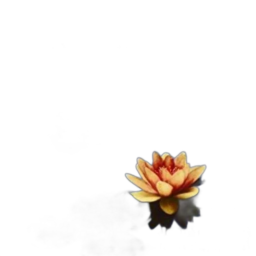 flower, crown, jewelry, staff transparent PNG cut-out